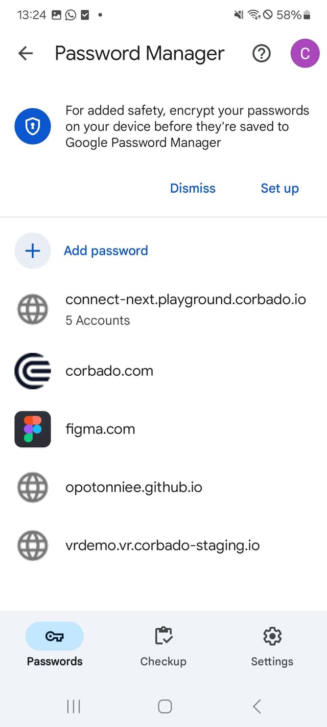 google password manager manage
