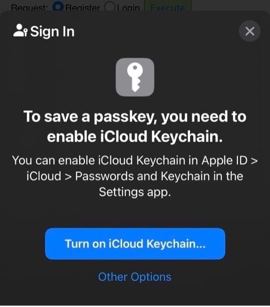 Save Passkey Enable iCloud Keychain