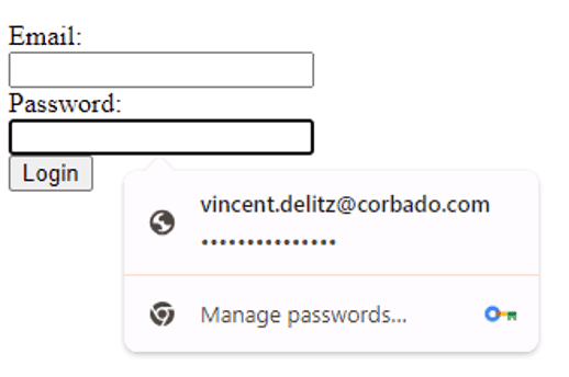 Windows 11 chrome Password Autofill